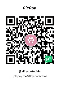 QR Code PIX